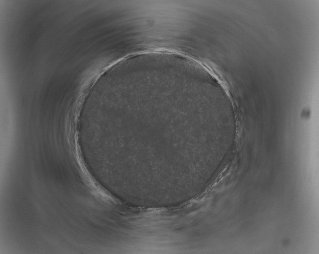 X0000116760097201001141438