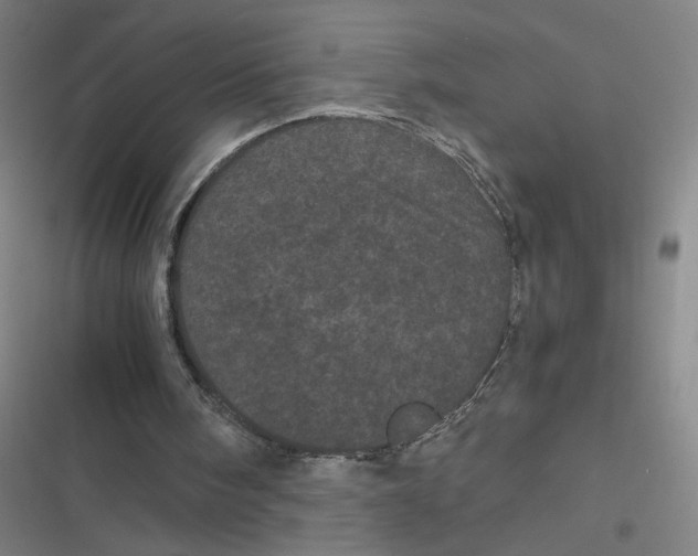 X0000116760098201001141438