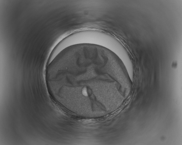 X0000116760100201001141438