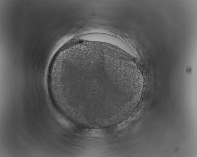 X0000116760104201001141438