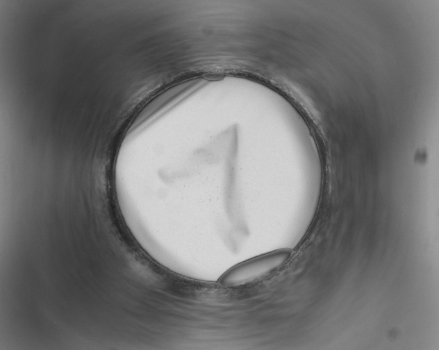 X0000116760105201001141438