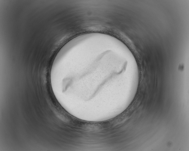 X0000116760106201001141438