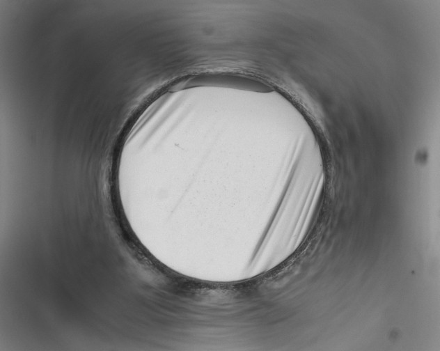 X0000116760107201001141438