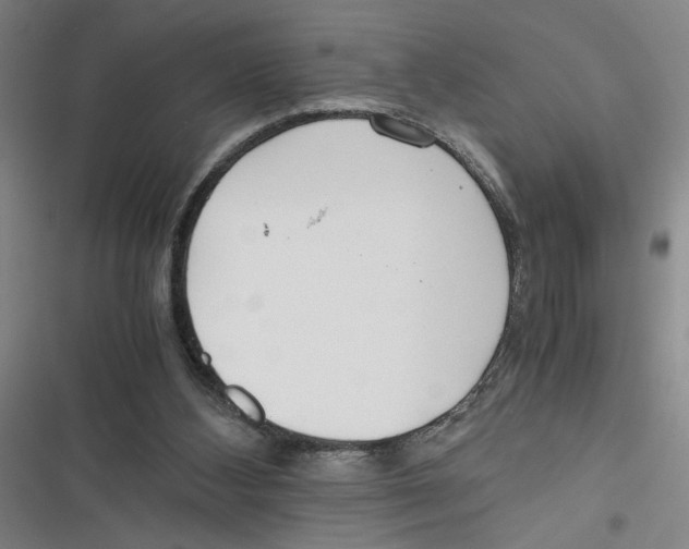 X0000116760108201001141438