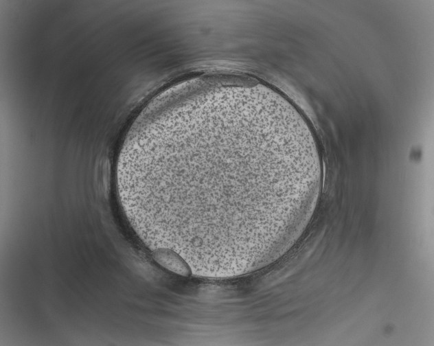 X0000116760109201001141438