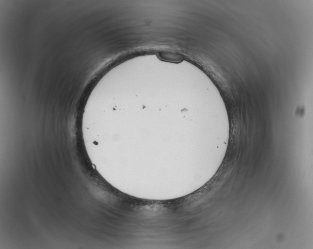 X0000116760112201001141438