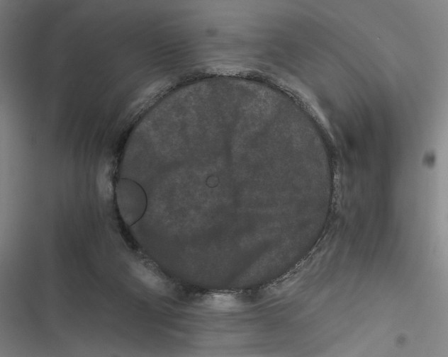 X0000116760114201001141438