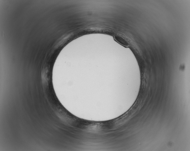 X0000116760116201001141438