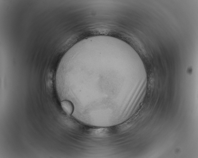 X0000116760122201001141438