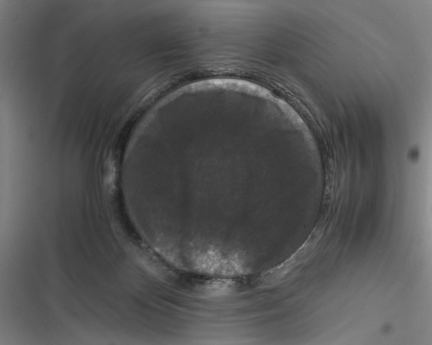 X0000116760124201001141438