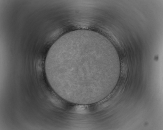 X0000116760126201001141438