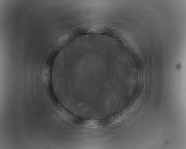 X0000116760127201001141438