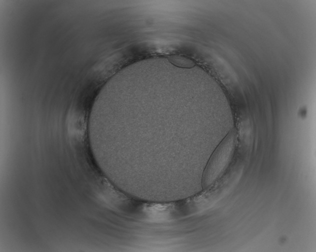 X0000116760129201001141438