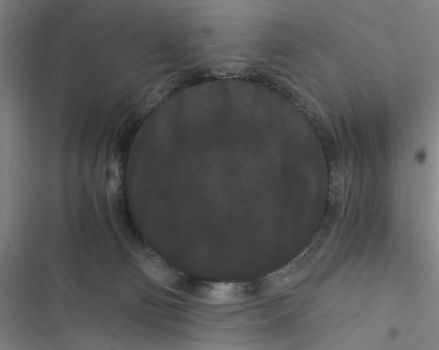 X0000116760130201001141438