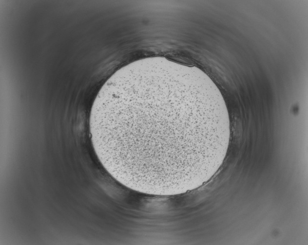 X0000116760132201001141438