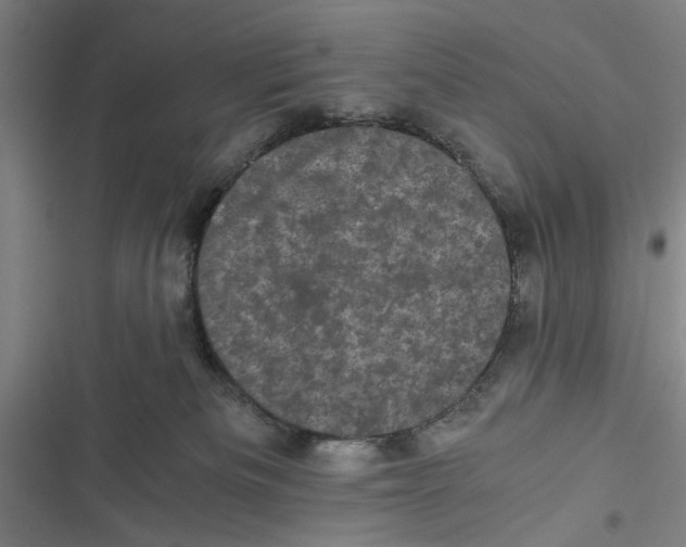 X0000116760133201001141438