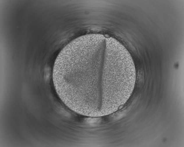 X0000116760135201001141437