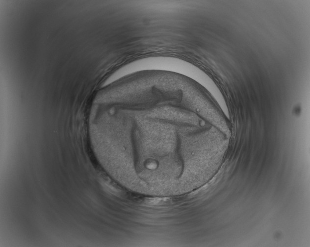 X0000116760136201001141437