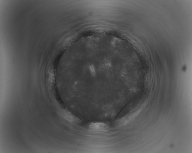 X0000116760137201001141437