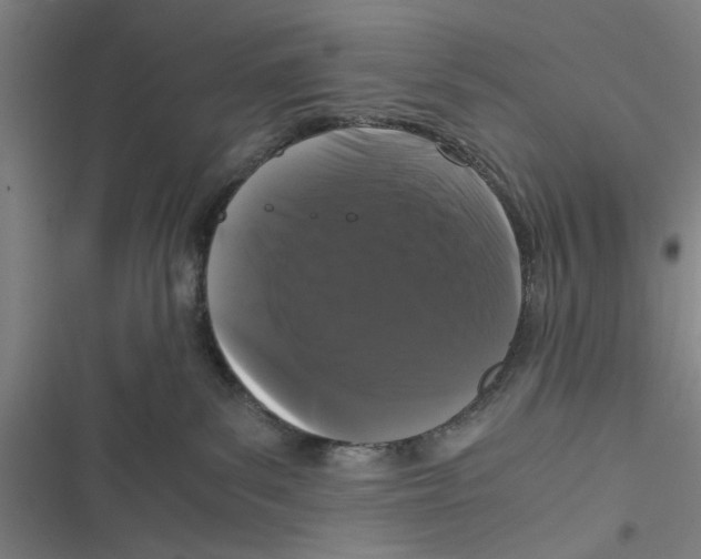 X0000116760139201001141437