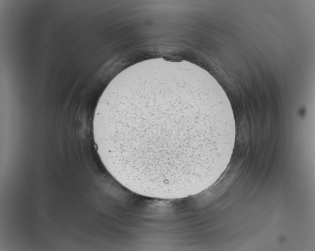 X0000116760140201001141437