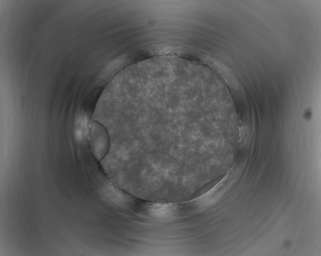 X0000116760142201001141437