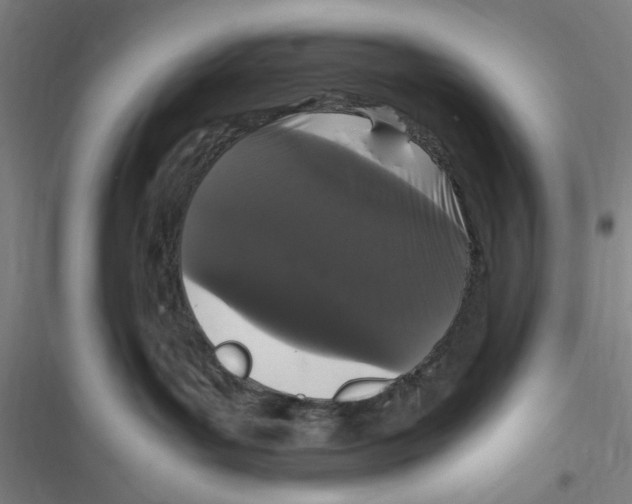 X0000116760143201001141437