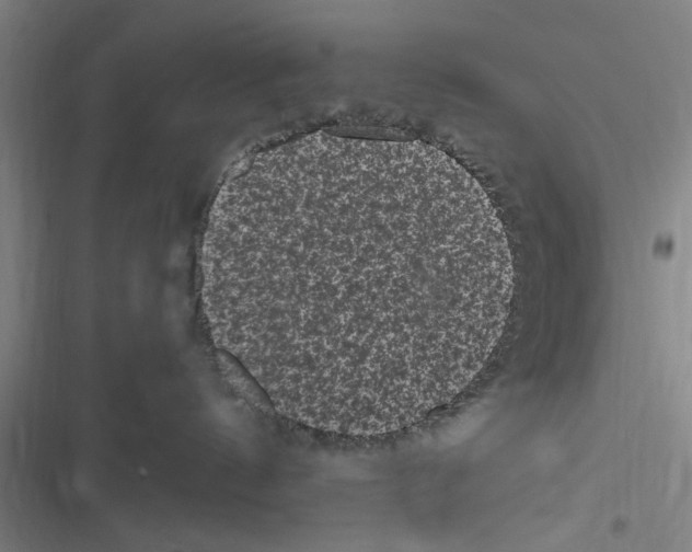 X0000116760144201001141437