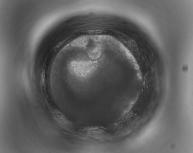 X0000116760146201001141437