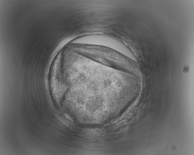 X0000116760147201001141437