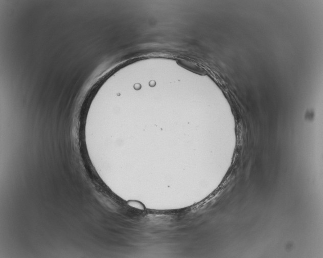 X0000116760150201001141437