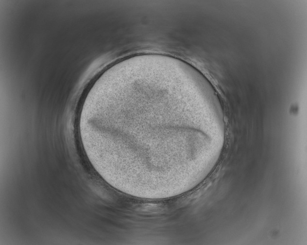 X0000116760151201001141437