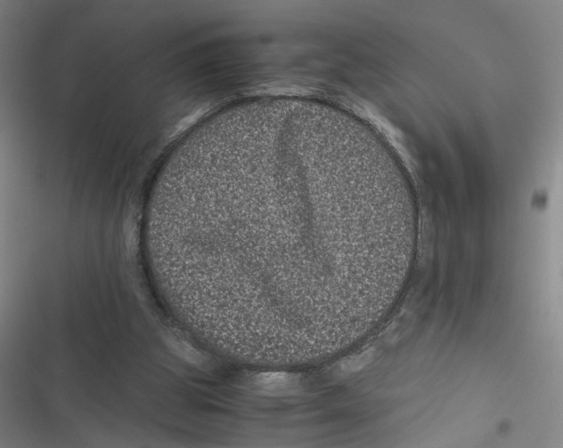 X0000116760153201001141437