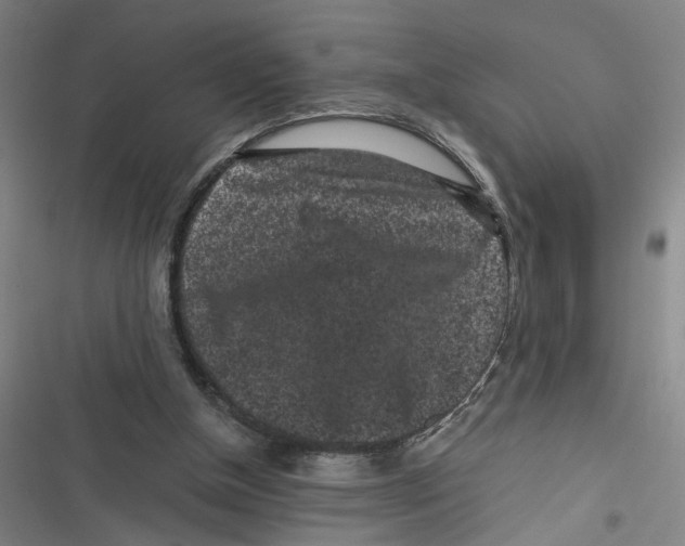 X0000116760154201001141437