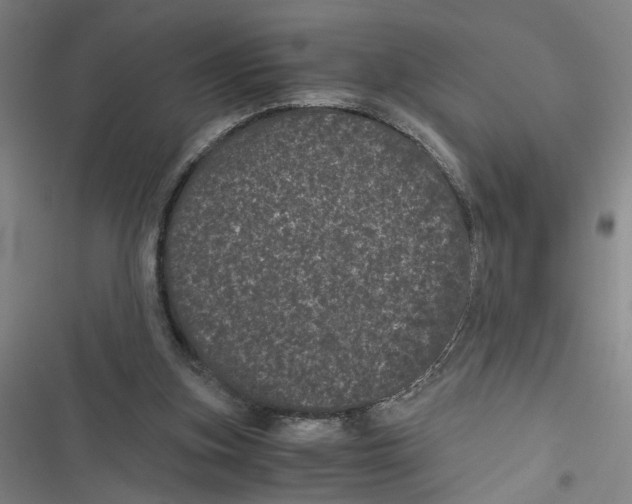 X0000116760155201001141437