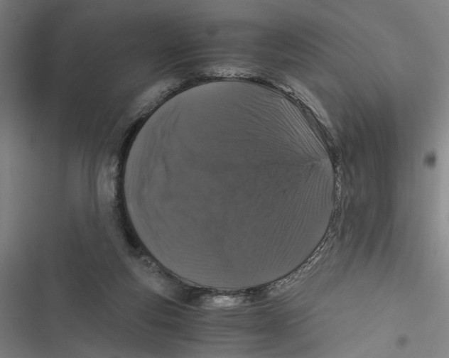 X0000116760163201001141437