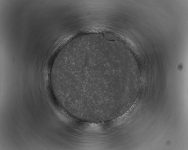 X0000116760166201001141437