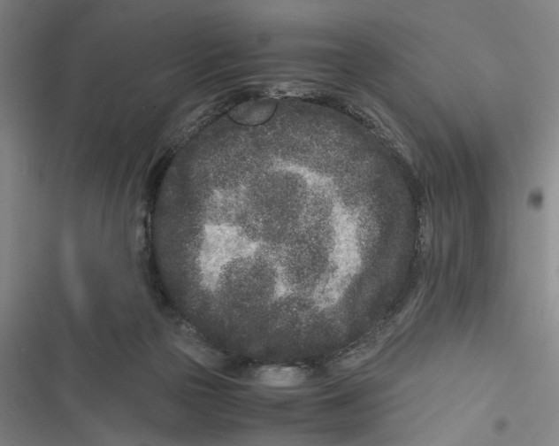 X0000116760169201001141437