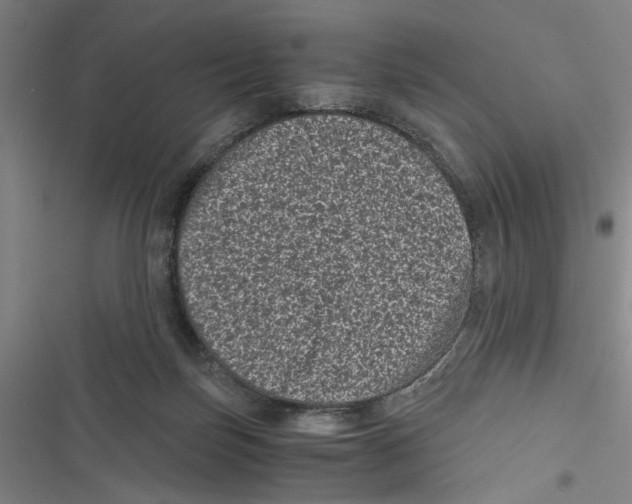 X0000116760171201001141437