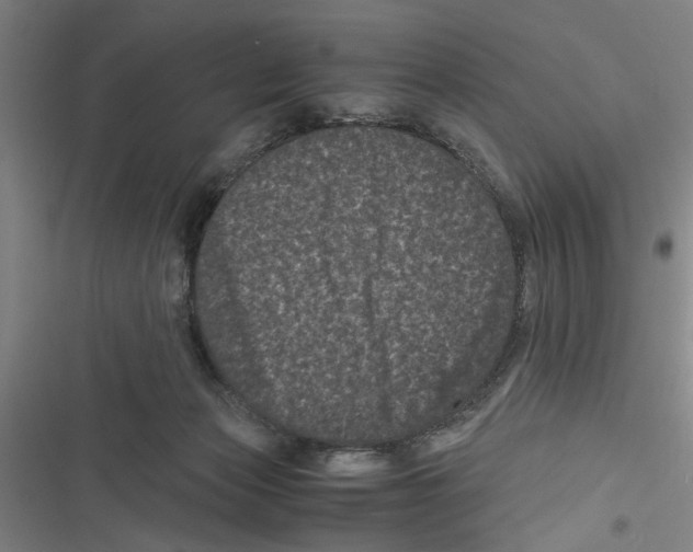 X0000116760173201001141437