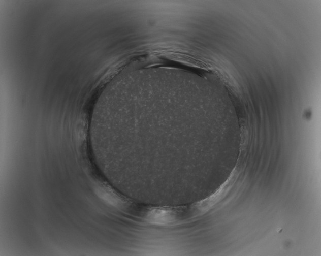 X0000116760174201001141437