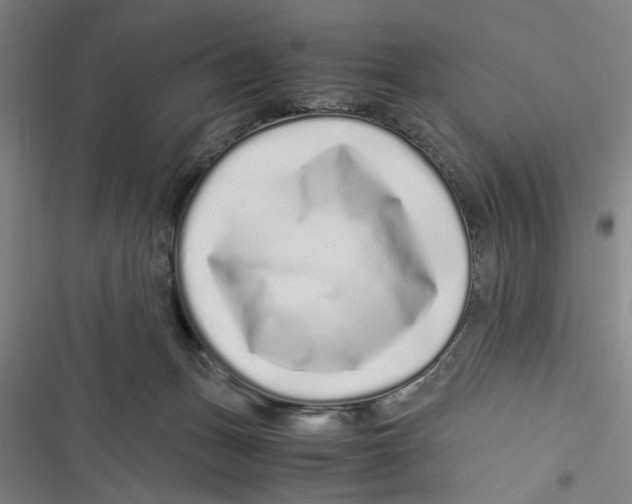 X0000116760175201001141437