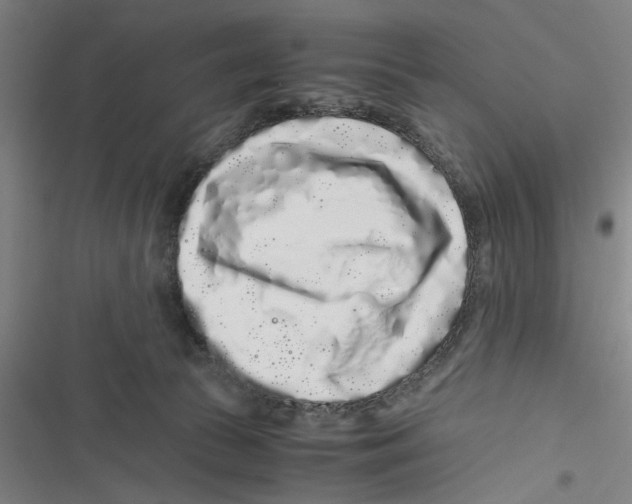 X0000116760177201001141437