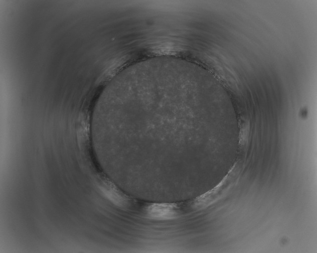 X0000116760179201001141437