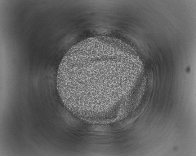 X0000116760181201001141437