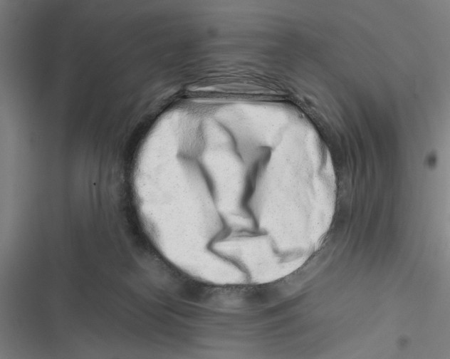 X0000116760182201001141437