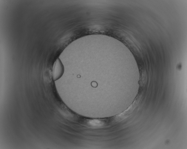 X0000116760183201001141437