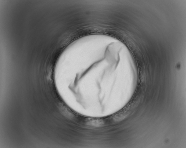 X0000116760185201001141437