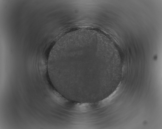 X0000116760186201001141437