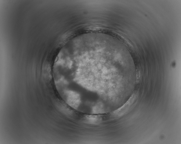 X0000116760187201001141437